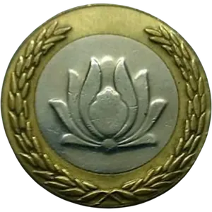 روی سکه ۲۵۰ ریالی